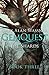 The Shards (GemQuest Book 3)