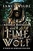 The Time of the Wolf: A Novel of Medieval England (Hereward, #1)