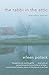 The Rabbi in the Attic: And Other Stories
