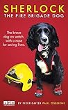 Sherlock: The Fir...
