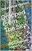Dropped From The Sky: A Gwe...