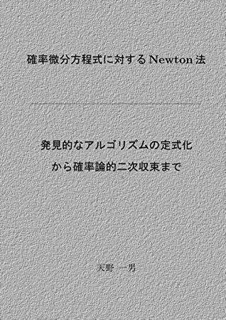 Newton Method For Stochastic Differential Equations From A Heuristic Algorithm Formulation To The Second Order Convergence By Kazuo Amano