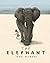 The Elephant