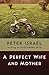 A Perfect Wife and Mother by Peter Israel