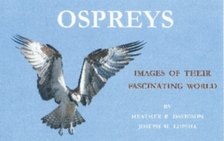 Ospreys: Images of Their Fascinating World