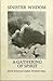 Sinister Wisdom 22/23: A Gathering of Spirit