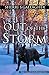 Out of the Storm: Book 2 of...