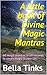 A little book of Divine Magic Mantras by Bella Tinks