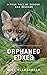 Orphaned Foxes: A true tale...