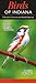 Birds of Indiana by Greg R. Homel