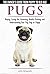 Pugs - The Owner's Guide from Puppy to Old Age - Choosing, Caring for, Grooming, Health, Training and Understanding Your Pug Dog or Puppy