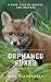 Orphaned Foxes: A true tale...