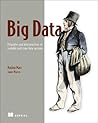 Big Data Principl...