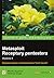 Metasploit. Receptury pentestera. Wydanie II