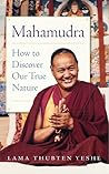 Mahamudra: How to...