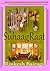 SuhaagRaat by Rinkesh Bairagi