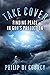 Take Cover: Finding Peace i...