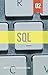 SQL: Intermediate Level SQL From The Ground Up (DIY SQL Book 2)