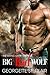 Big Bad Wolf (The Mating Game, #1)