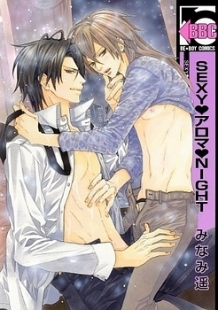 SEXY・アロマ・NIGHT (Paperback)