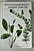 Encyclopedia of Water Plants