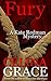 Fury (Kate Redman Mysteries, #11)