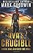 Divided We Fall: A Novel of the Coming Civil War in America (Ava's Crucible)