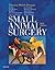 Small Animal Surgery