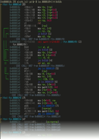 Radare2 Book (ebook)