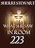 What She Saw in Room 223 by Sherri Stewart What She Saw in Room 223 by Sherri Stewart