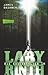 Im Labyrinth by James Dashner