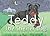 Teddy the Shelter Dog by Tony Feeherry