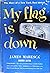 My Flag is Down