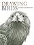 Drawing Birds