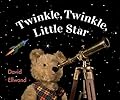 Twinkle Twinkle Little Star: David Ellwand’s Bears