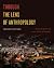 Through the Lens of Anthropology: An Introduction to Human Evolution and Culture