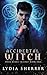 Accidental Witch (Dark Roads Trilogy #1)