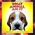 What Animal Am I?