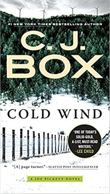 Cold Wind (Joe Pickett, #11)