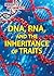 DNA, RNA, and the Inheritance of Traits (Heredity and Genetics)