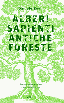 Alberi sapienti, antiche foreste. Come guardare, ascoltare e avere cura del bosco