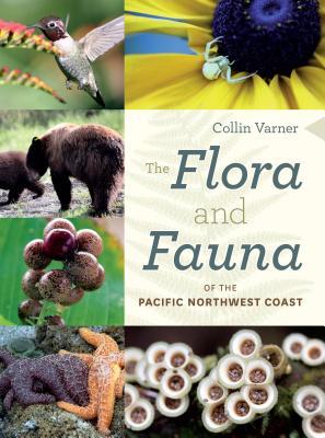 The Flora and Fauna of the Pacific Northwest Coast (Paperback)