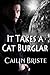 It Takes a Cat Burglar: A T...