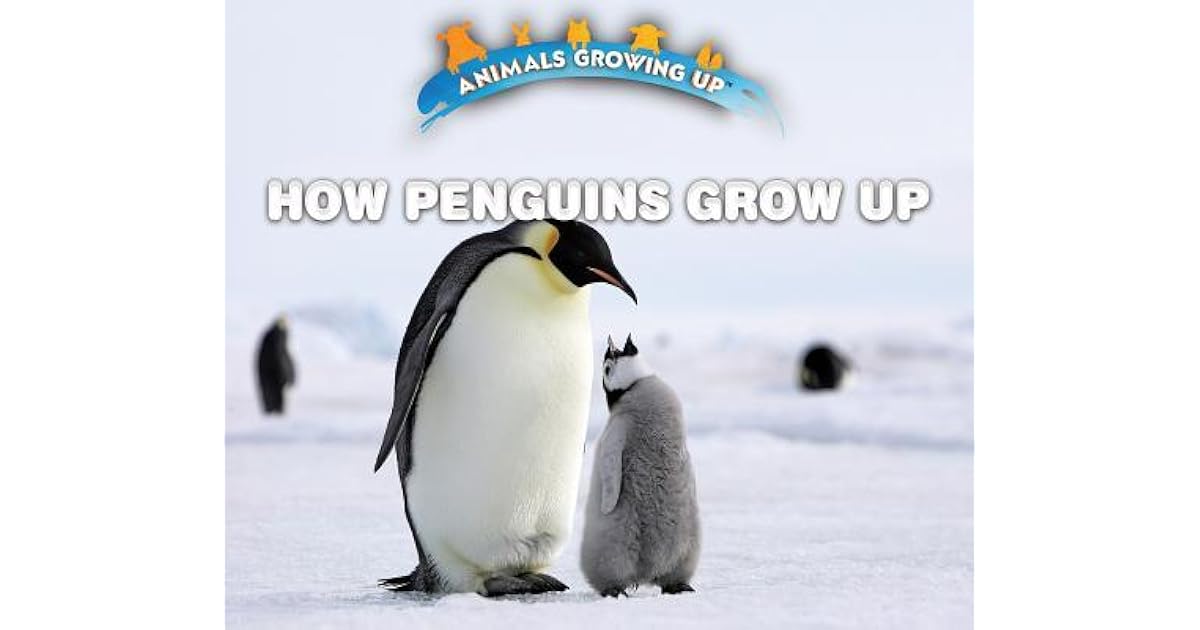 How Penguins Grow Up by Lisa Idzikowski