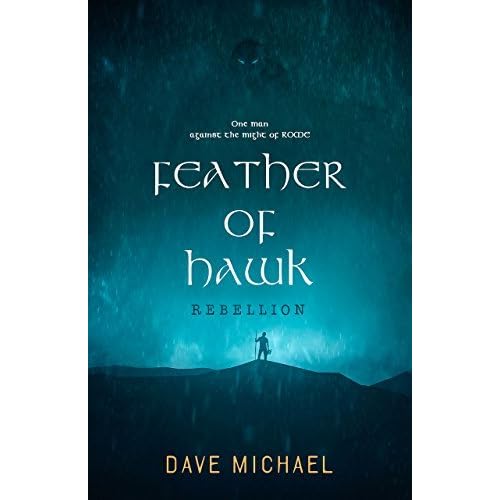 Feather Of Hawk By Dave Michael