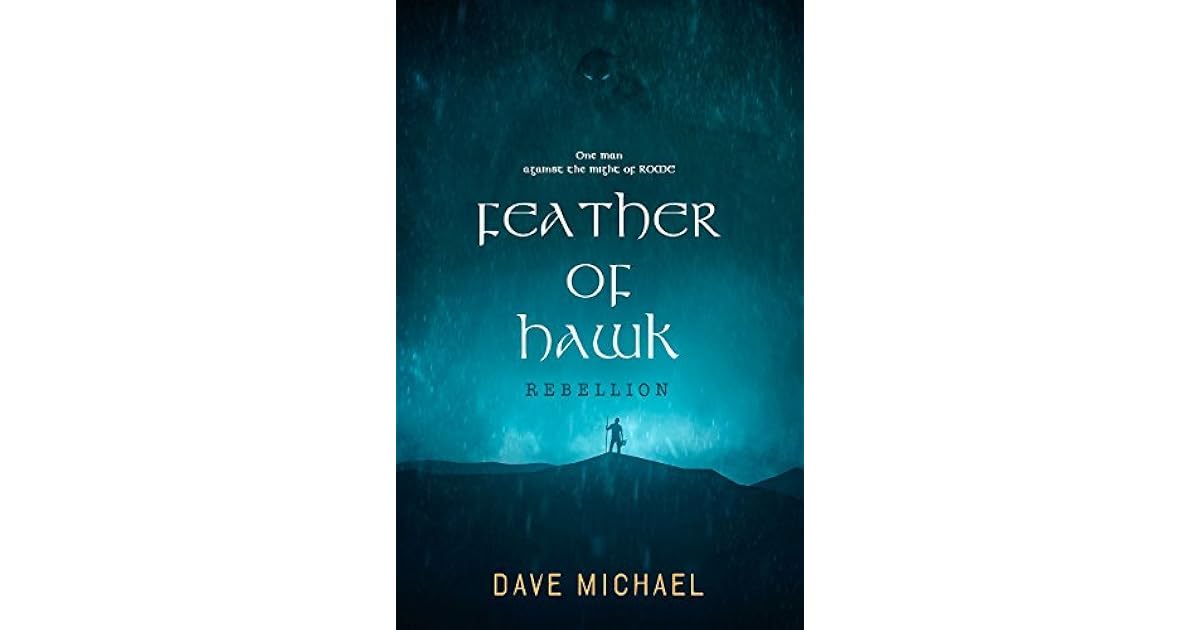 Feather Of Hawk By Dave Michael