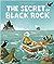 The Secret Of Black Rock