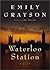 Waterloo Station: A Novel (Grayson, Emily)
