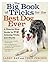 The Big Book of Tricks for the Best Dog Ever: A Step-by-Step Guide to 118 Amazing Tricks and Stunts