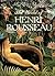 The World Of Henri Rousseau